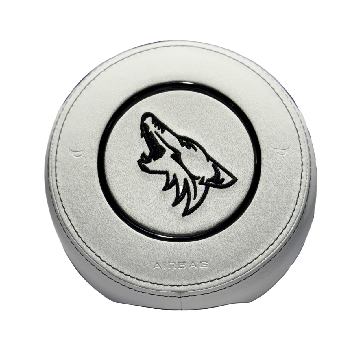 2015-2023 Ford Mustang Airbag Cover - Customizable