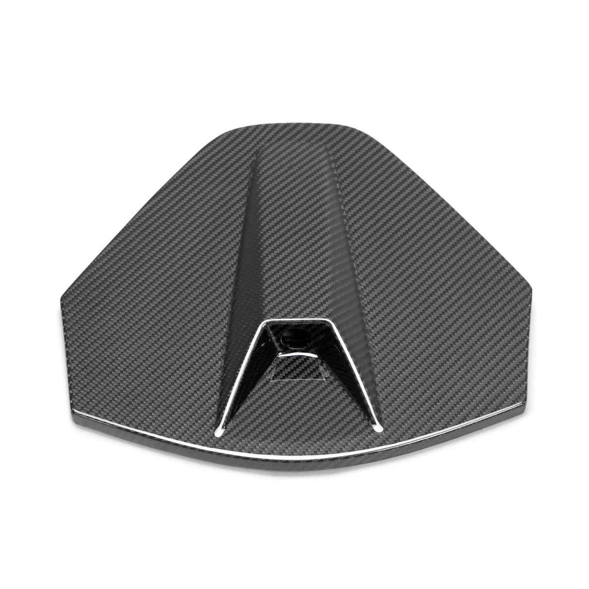 2020–2024 Chevrolet Corvette C8 Carbon Fiber Rear Camera Decklid Housing Panel (Coupe)