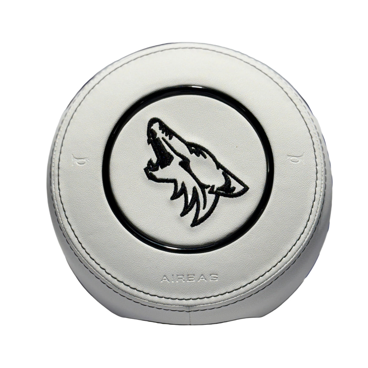 2015-2023 Ford Mustang Airbag Cover - Customizable