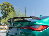 BMW M Style Carbon Fiber Rear Wing